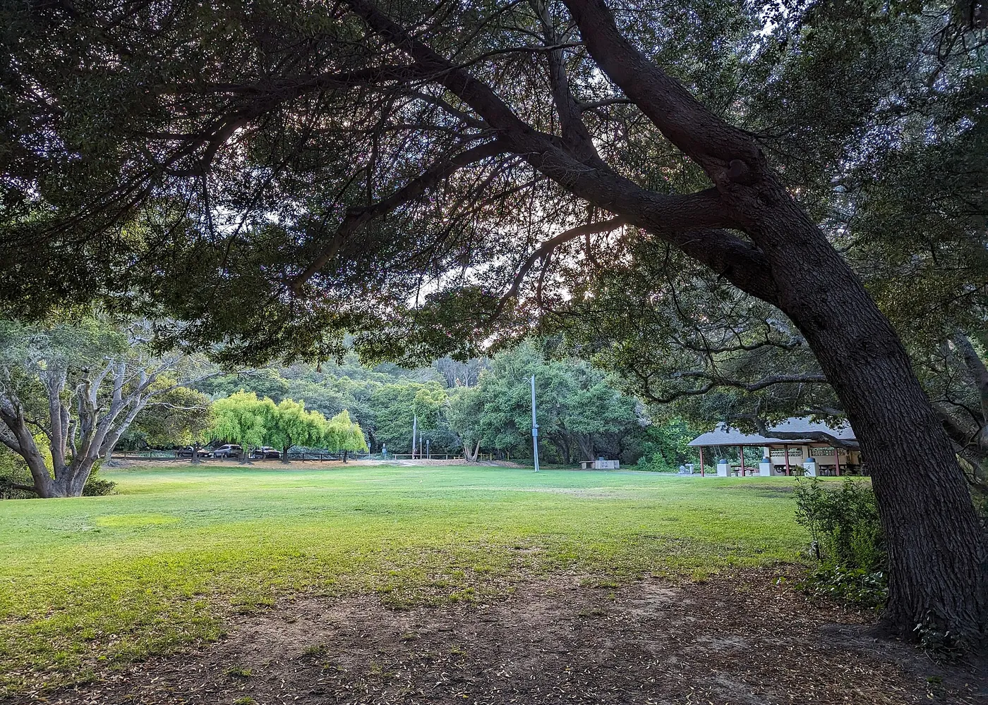 Real view of San Bruno, California